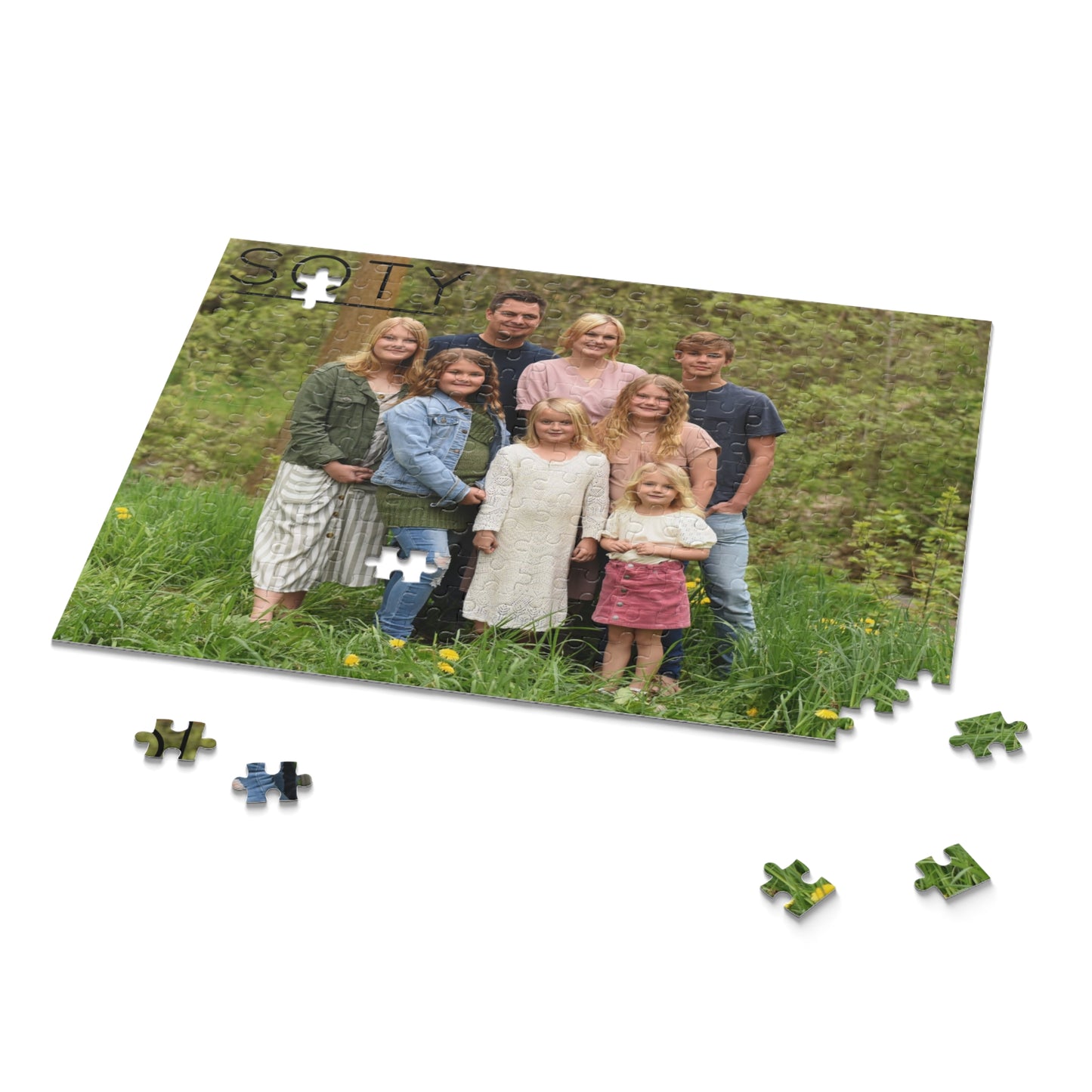 Puzzle (120, 252, 500-Piece)