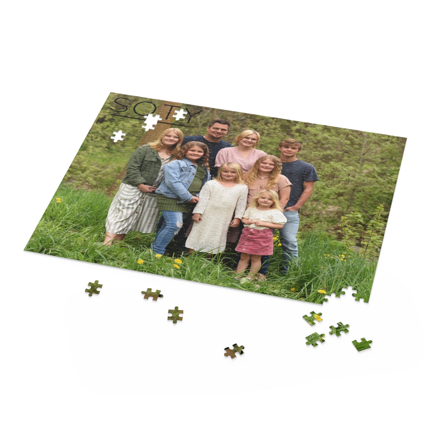 Puzzle (120, 252, 500-Piece)